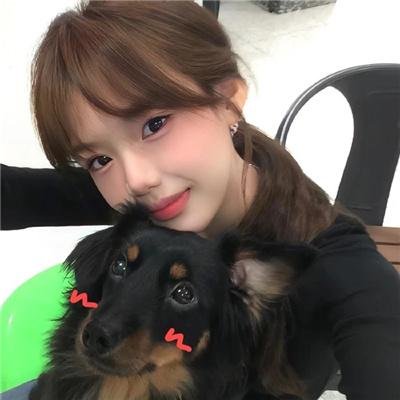 孤雏泪